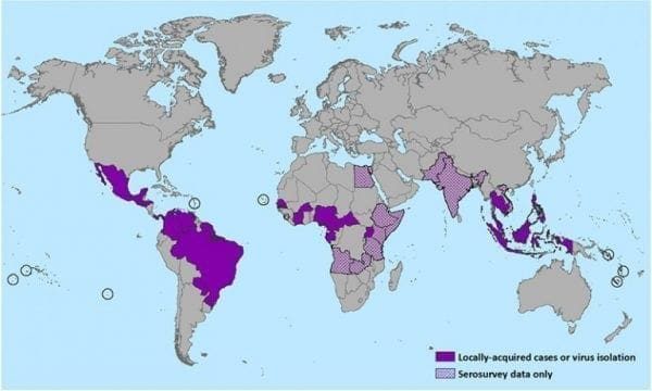 13 Things You Should Know About The Not-So-Catastrophic Zika Virus! 3