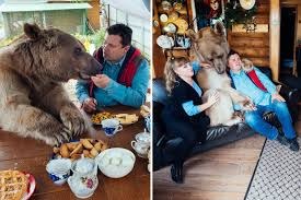 Now, Have Your Pet Bear Sit With You
