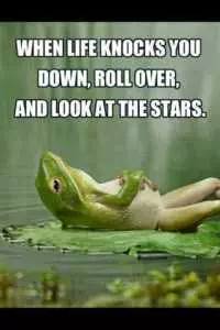 When-life-knocks-you-down-roll-over-and-look-at-the-stars