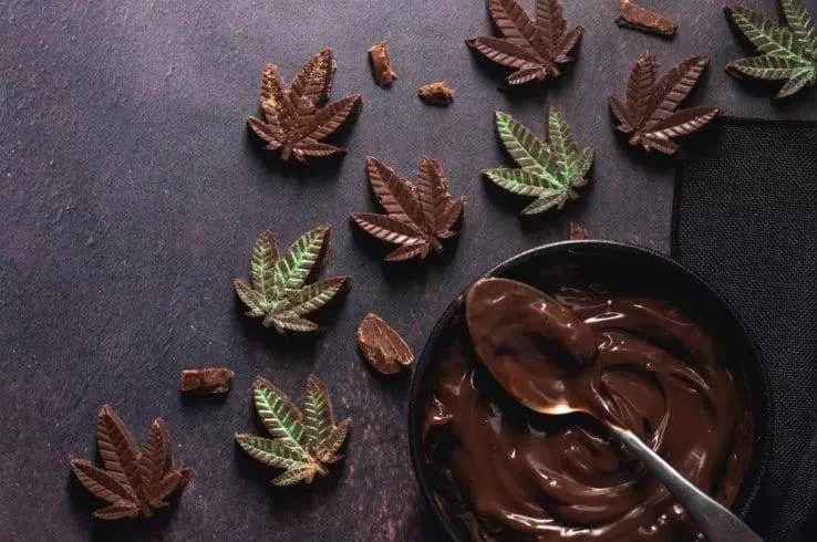 Cannabis leaves in chocolate