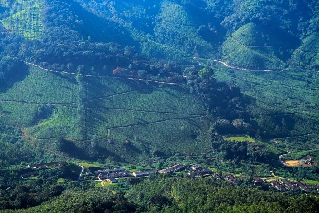 Top 15 Mesmerizing Hill Places in Kerala! 14 Eravikulam National Park