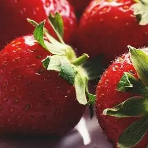 All you need to know about strawberries 