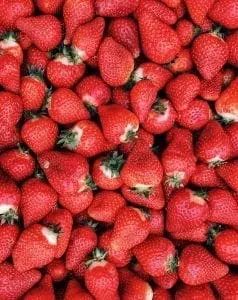 There are various kinds of strawberries in the world 