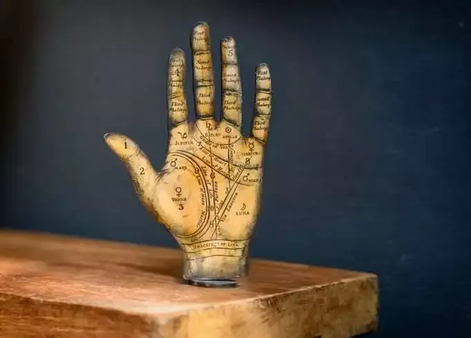 What Does Your Hand Say About You? A Bit of Palmistry! 9 What Does Your Hand Say About You? A Bit of Palmistry! 1