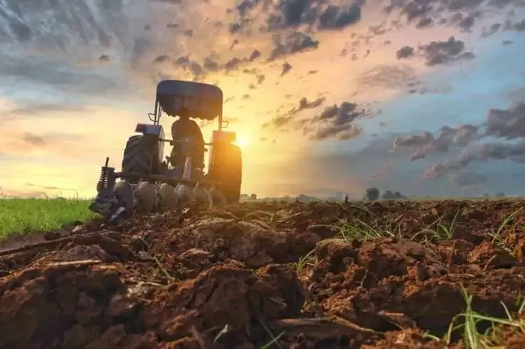 Moment of Retrospect: Revival of Organic Farming 7 Moment of Retrospect: Revival of Organic Farming 1