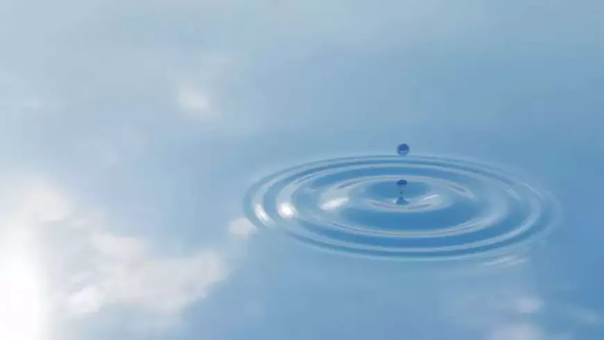 Horoscope 2016: What Will Your Horoscope Be in 2016? 9 Water