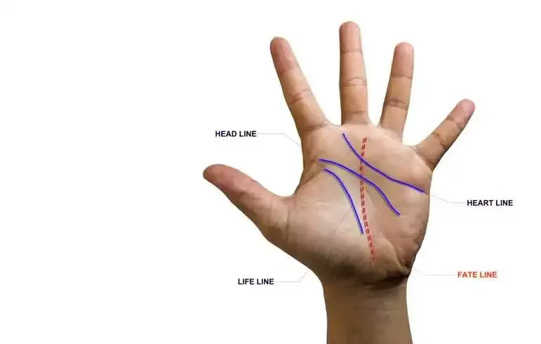 What Does Your Hand Say About You? A Bit of Palmistry! 8 Different lines on hand