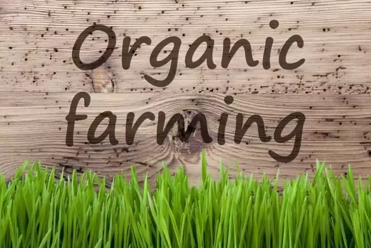 Moment of Retrospect: Revival of Organic Farming 6 Organic farming written in wooden blocks