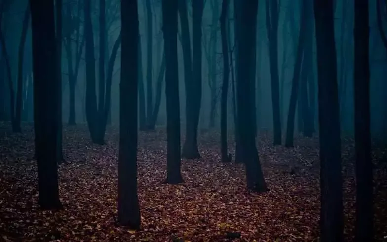 The Watcher in The Woods: A Must Watch '80s Classic 6 The Watcher in the woods