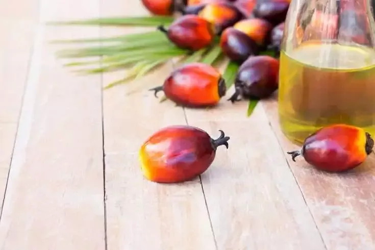 Why is Palm Oil Bad? 101 Guide on Impacts of Palm Oil 7 why is palm oil bad