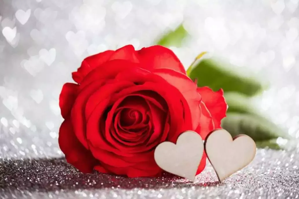 Why Do We Celebrate Valentine's Day: 7 Best Symbols of Valentine's To Know About 14 why do we celebrate valentine's day