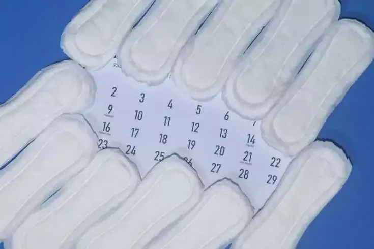 10 Best Must Have Feminine Hygiene Products 8 sanitary napkins