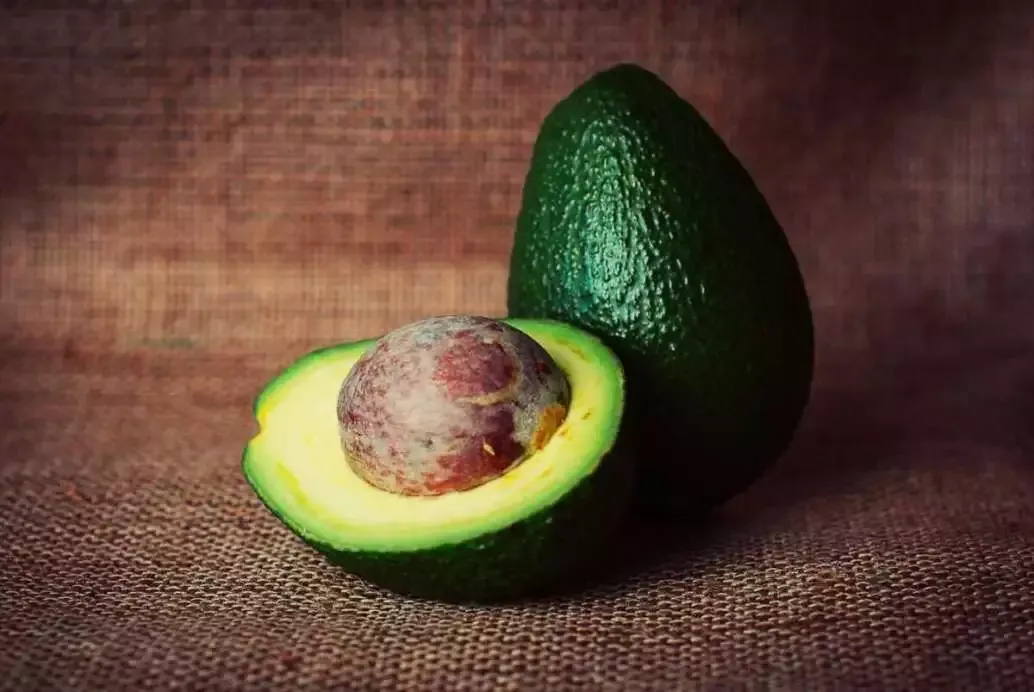 20 Amazing Breakfast Ideas for Kids 10 Avocado