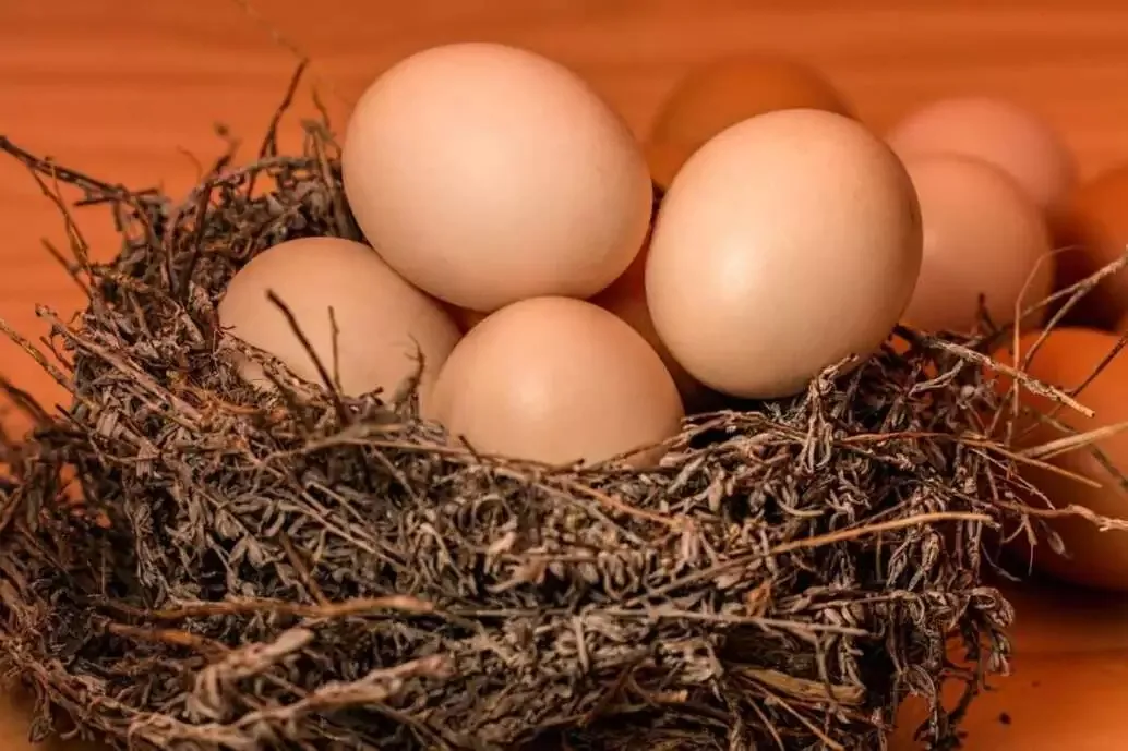 20 Amazing Breakfast Ideas for Kids 8 Eggs