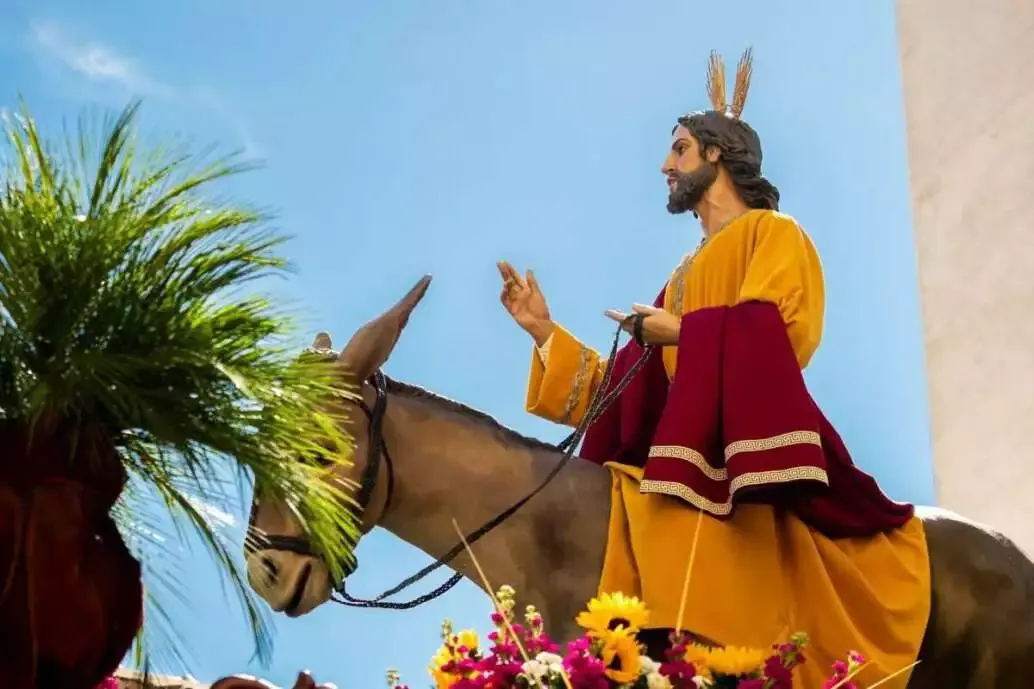 Why Do We Celebrate Easter: Best 101 Easter Guide 8 Palm Sunday