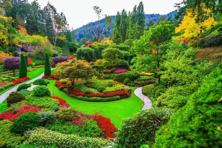 Butchart Gardens: Experience the Beautiful Canadian Garden in 2022 6 Butchart Gradens