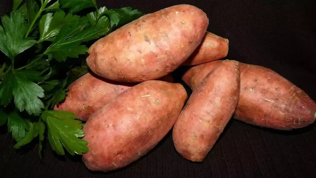 Top 20 Reasons Why Vegetables Are Healthy for Us 13 Sweet potato