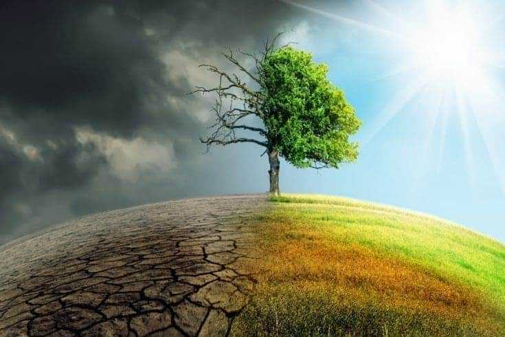 7 Indians Who Helped Save Our Environment 11 Representation of climate change