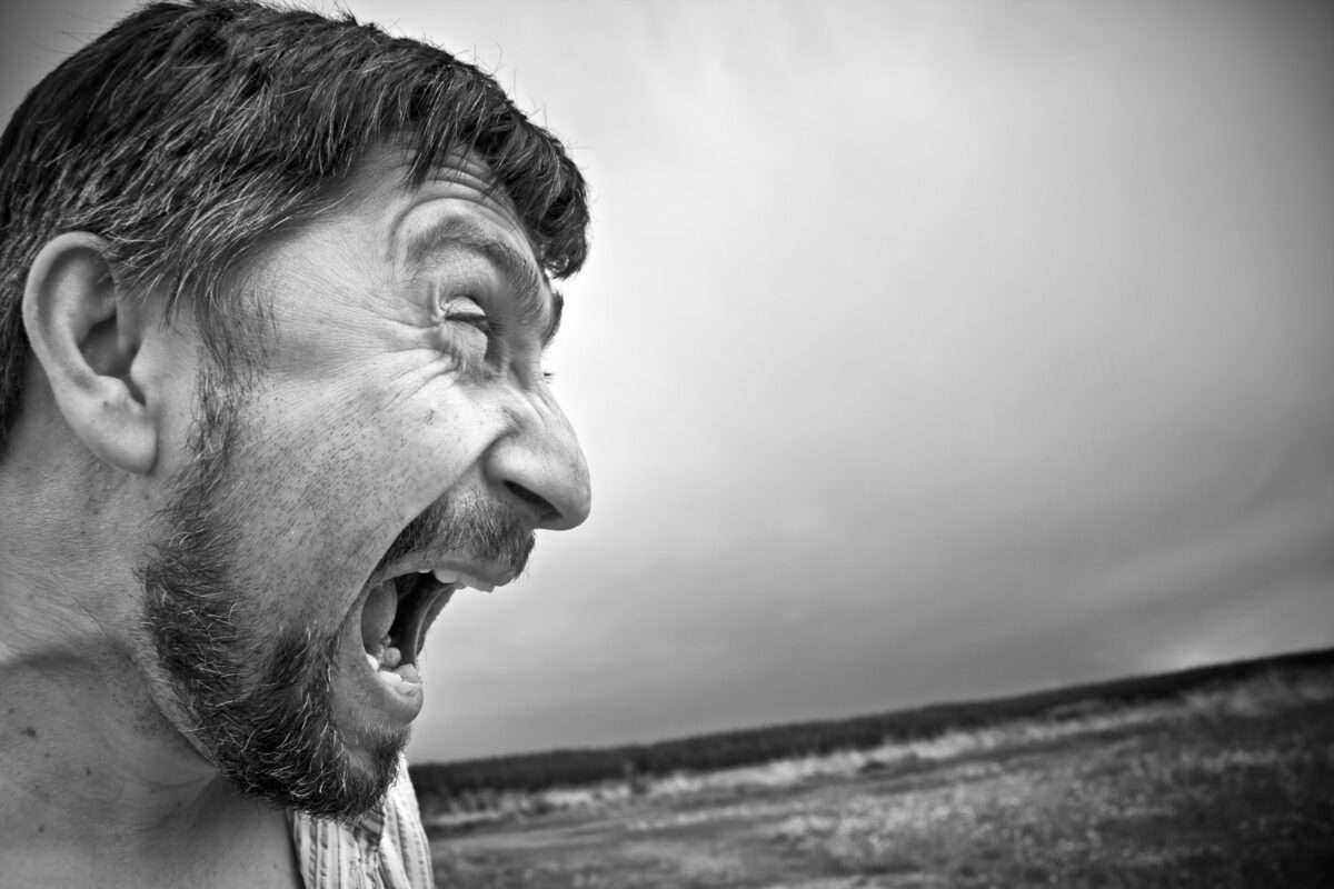 The Reality Shows- Brutal Scripted Realities 10 The Reality Shows- Brutal Scripted Realities 5