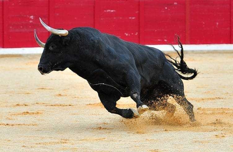 The 10 Most Ruthless Practices Committed Against Animals! 9 Bullfighting