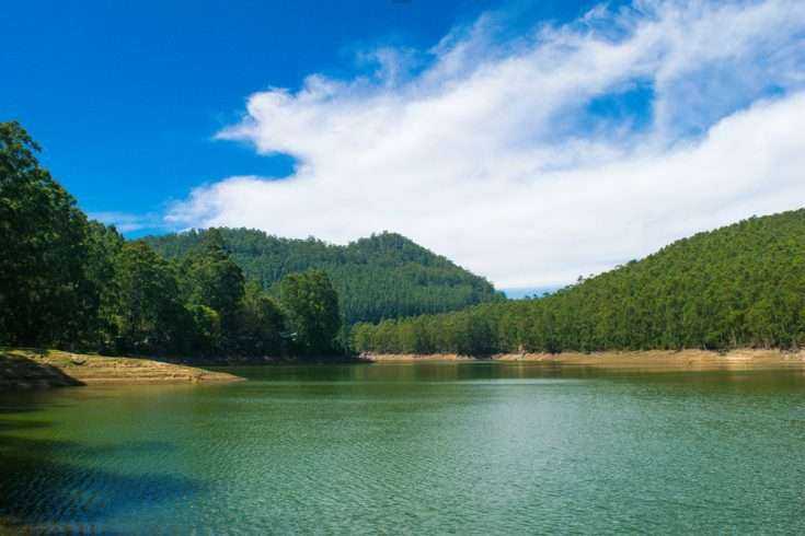 Munnar : A Gorgeous Holiday Gift for Every Nature lover.. 12 Munnar : A Gorgeous Holiday Gift for Every Nature lover.. 7