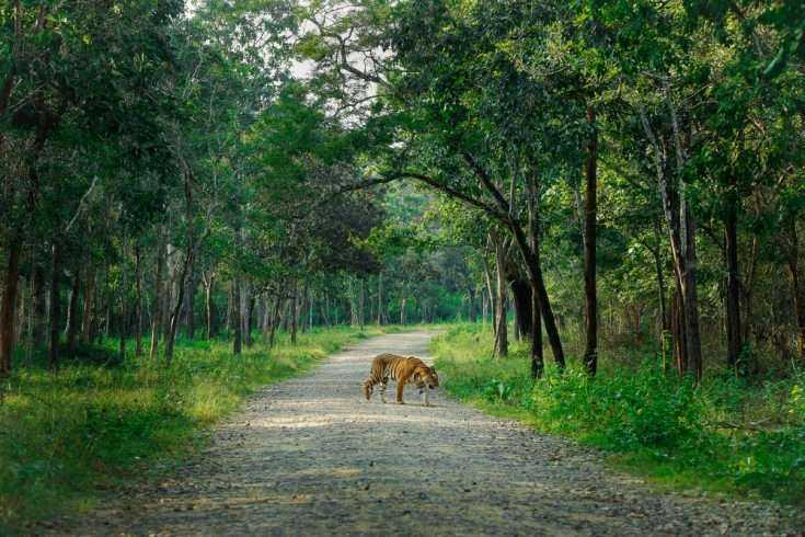 India's Scotland- Coorg 11 Nagarhole National Park