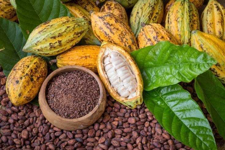What is Happy Coffee? 5 Awesome Facts You Should Know 9 Ripe cocoa pod and nibs, cacao beans setup background.