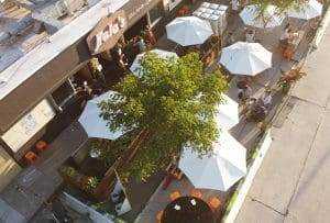 15 Best Santa Cruz Restaurants 5 Hula's Island Grill