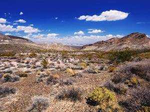 Top 15 Wyoming RV Parks You Must Visit for Adventure 15 Top 15 Wyoming RV Parks You Must Visit for Adventure 9