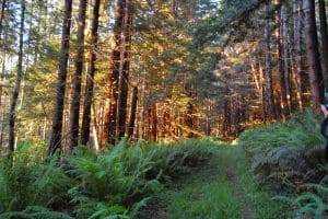 Top 15 Wyoming RV Parks You Must Visit for Adventure 13 Top 15 Wyoming RV Parks You Must Visit for Adventure 7