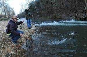The 10 Best Trout Fishing in Missouri 16 Love 'em, let 'em go during catch and release trout season at Roaring River