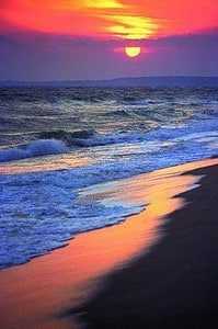 Martha's Vineyard: 7 Reasons to Visit This Beautiful Haven 17 martha's vineyard