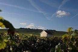 9 Best Anderson Valley Wineries to Visit and More! 11 anderson valley wineries