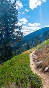 Granite Hot Springs: 7 Things to Remember 19 Grand Teton National Park