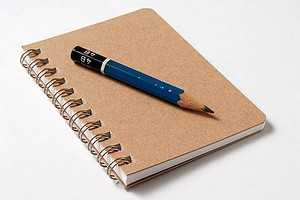 Things to Write in a Journal : 20 Best Ones 16 Bujo