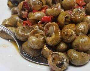 20 Interesting Facts About France You Need To Know 21 Escargots
