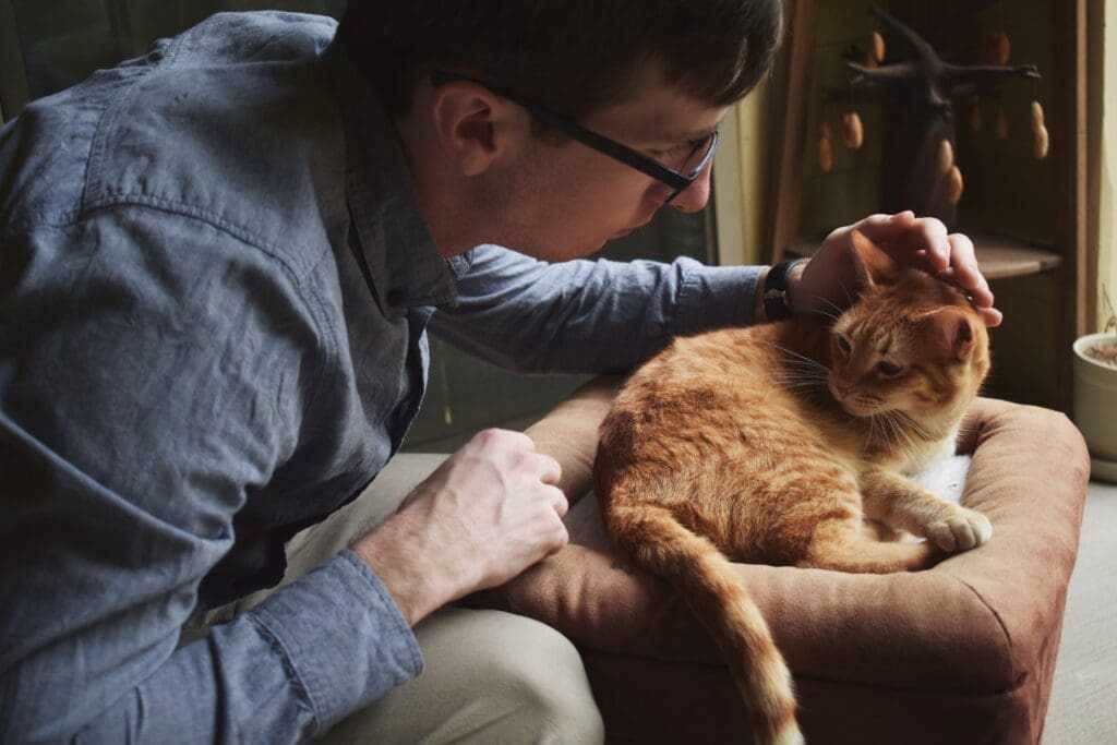 7 Paws and Claws Branches You Can Visit 9 Paws And Claws
