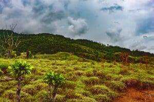Best Time to Visit Costa Rica 9 best time to visit costa rica