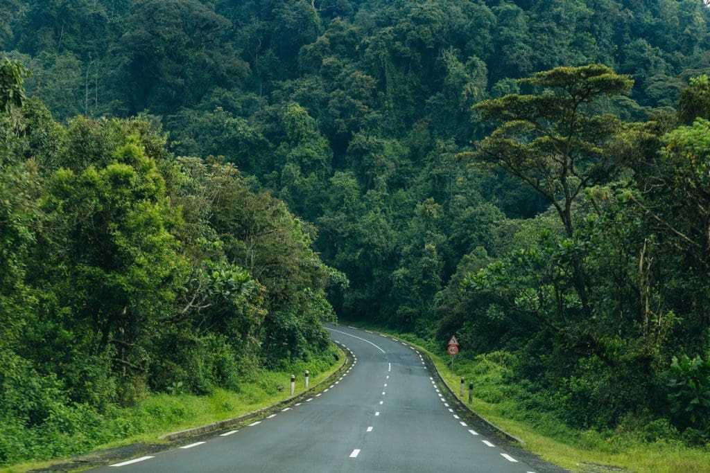 4 Best Coffee Plantation Tour Rwanda 9 coffee plantation tour Rwanda