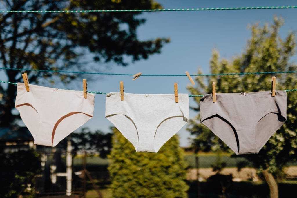 Best 14 Different Types of Panties For You 10 panties hanging
