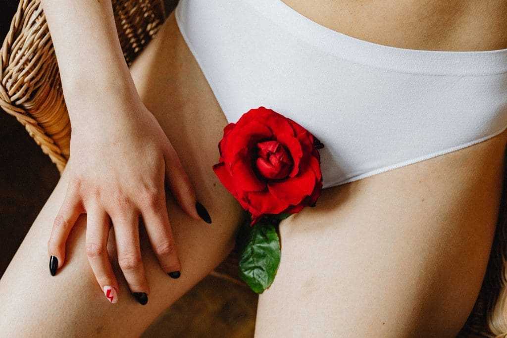 Best 14 Different Types of Panties For You 13 white panty and red rose