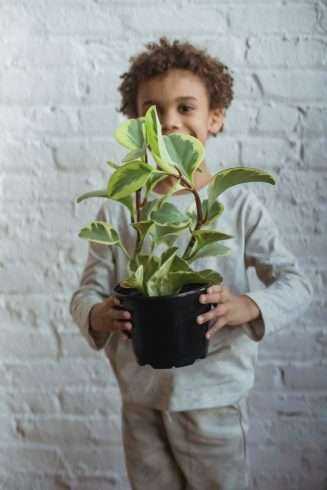 10 Best Sustainable Kids Clothing Brands To Check Out! 9 Sustainable KIds Clothing