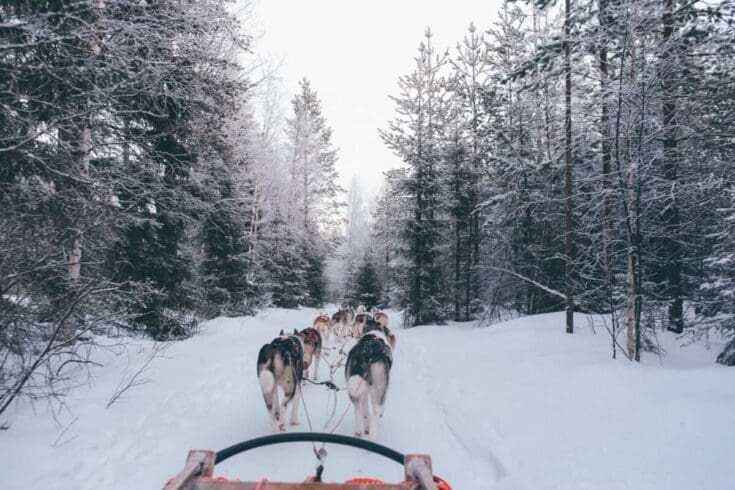 Adventure of a Lifetime: 38 Impressive Adventurous Things to do 19 Dog Sled Adventure