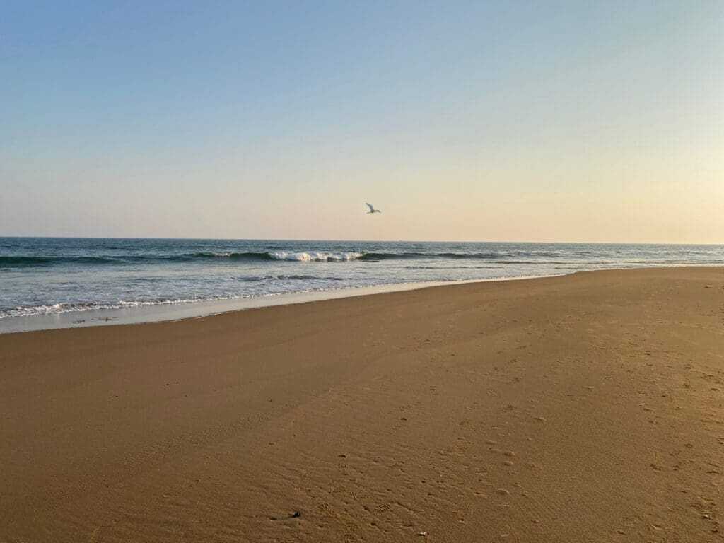 12 Amazing Things To do In Puri 15 Puri Beach