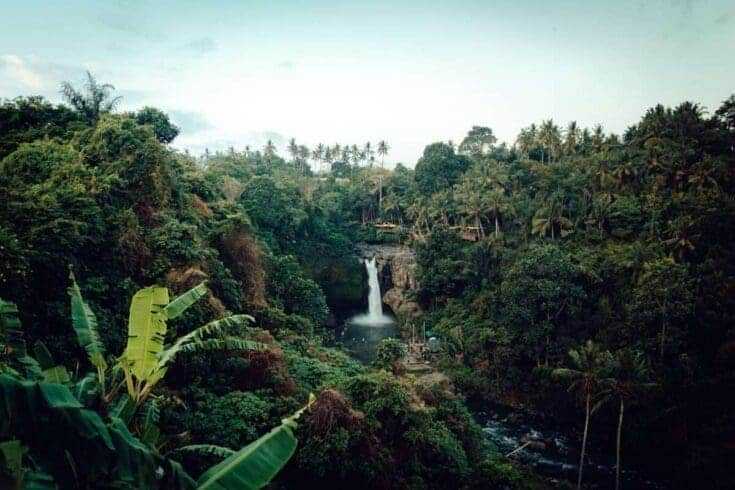 Adventure of a Lifetime: 38 Impressive Adventurous Things to do 27 Amazon Rainforest Adventure