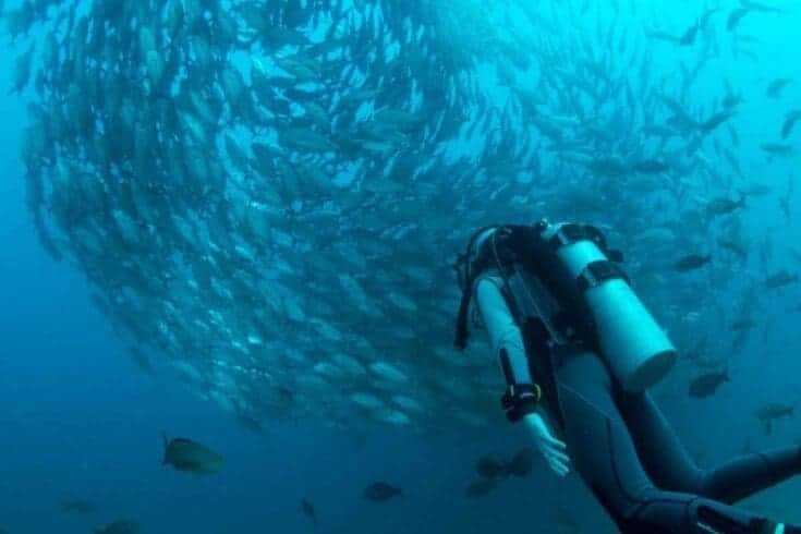 Adventure of a Lifetime: 38 Impressive Adventurous Things to do 9 Scuba Dive Adventure