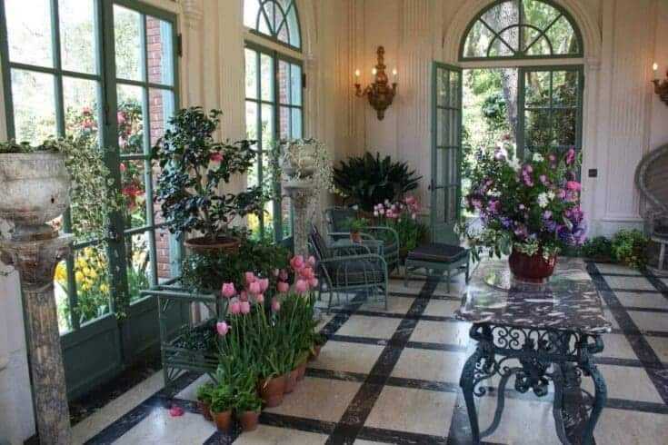 Indoor Flowering Plants: 12 Best Blooming Houseplants To Enhance Your Home Decor 9 Indoor flowering plants