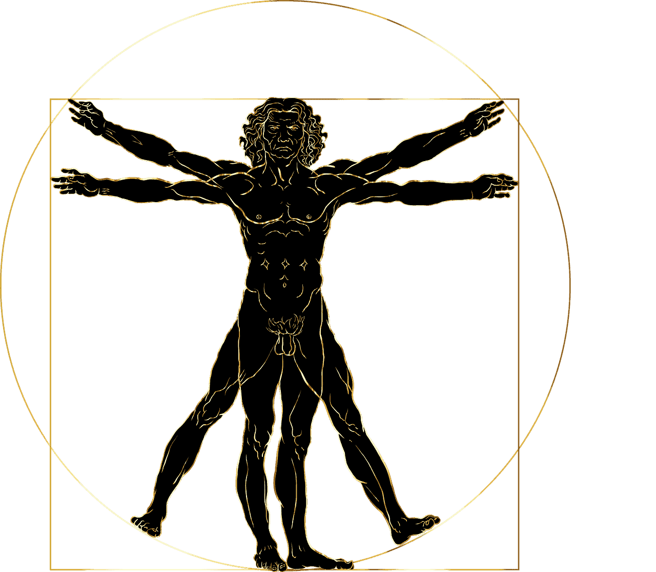 8 Interesting Facts About Leonardo Da Vinci 11 Vitruvian man