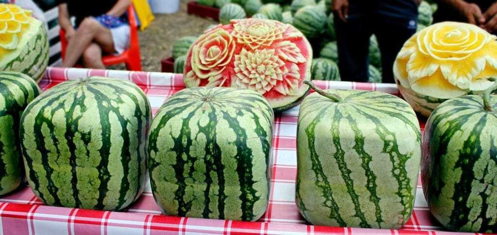 Top 18 Incredible Fun Facts About Japan 18 Top 18 Incredible Fun Facts About Japan 14