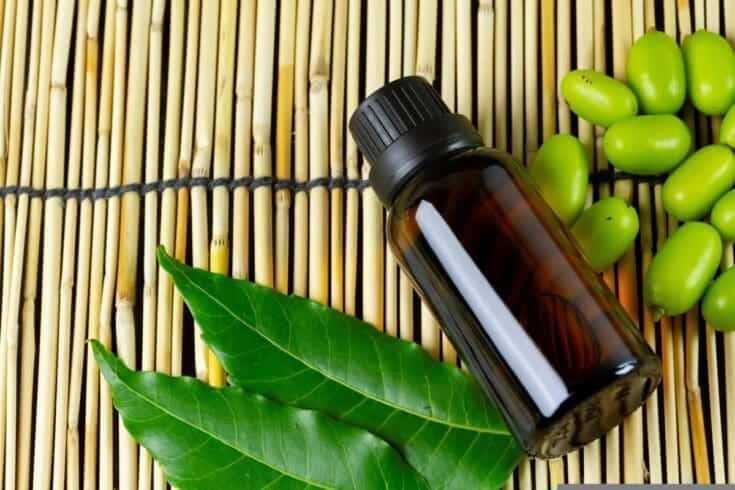 What Is a Natural Antibiotic:10 Best Natural Antibiotics to Try Today at Home 10 neem oil